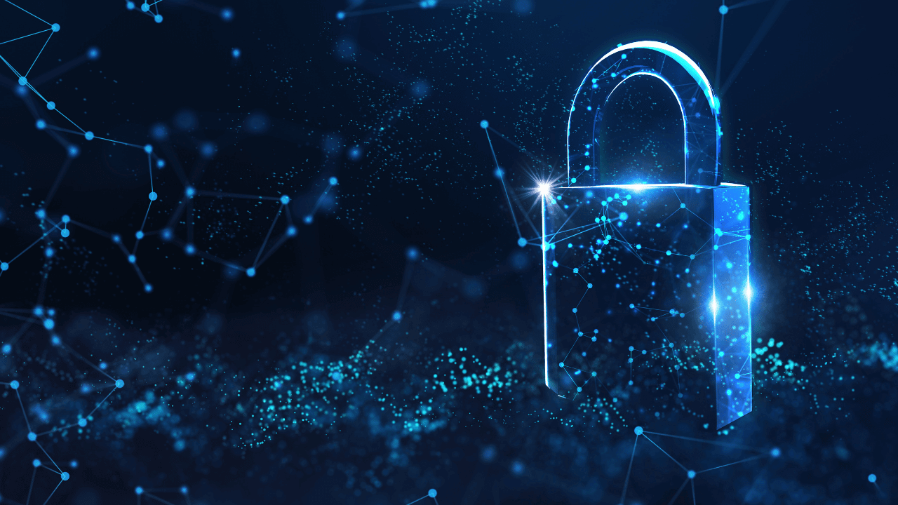 Advanced Threat Protection, Cybersecurity Risk Management, Data Security Services, Network Security Solutions, Vulnerability Assessment & Protection